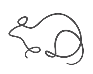 子 (ね)